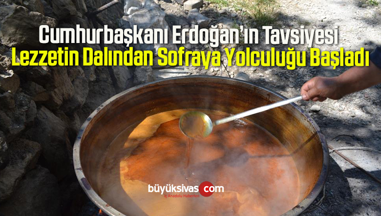 Cumhurbaşkanı Erdoğan’ın Tavsiyesi Lezzetin Dalından Sofraya Yolculuğu Başladı