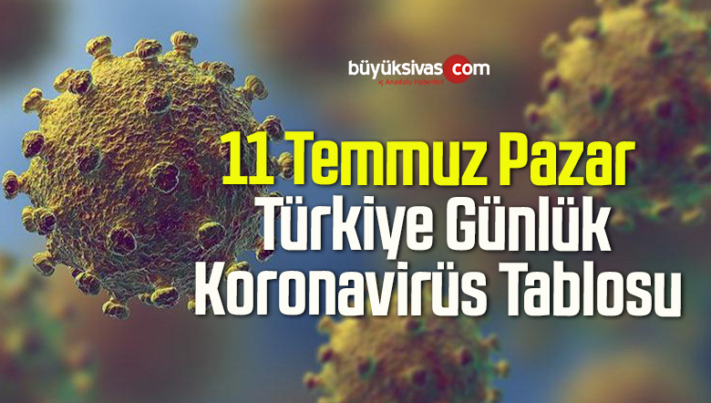 11 Temmuz Pazar Türkiye Günlük Koronavirüs Tablosu