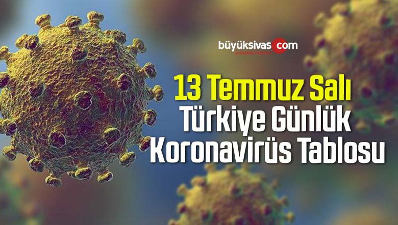 13 Temmuz Salı Türkiye Günlük Koronavirüs Tablosu