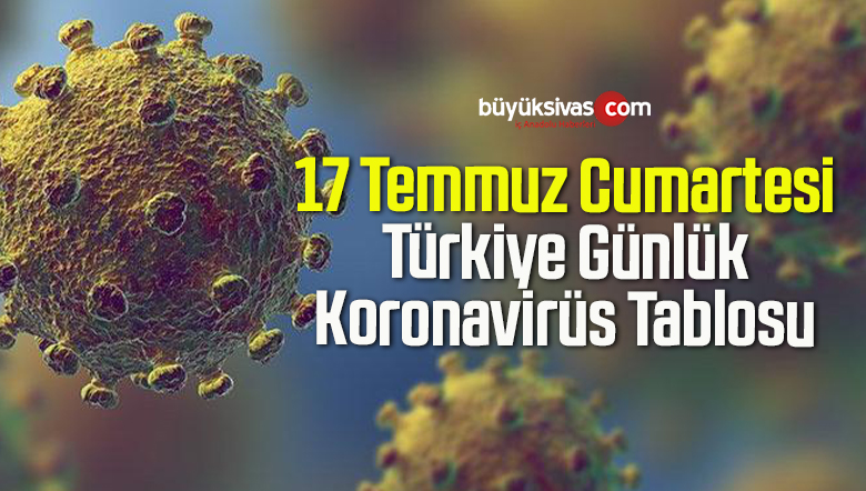 17 Temmuz Cumartesi Türkiye Günlük Koronavirüs Tablosu