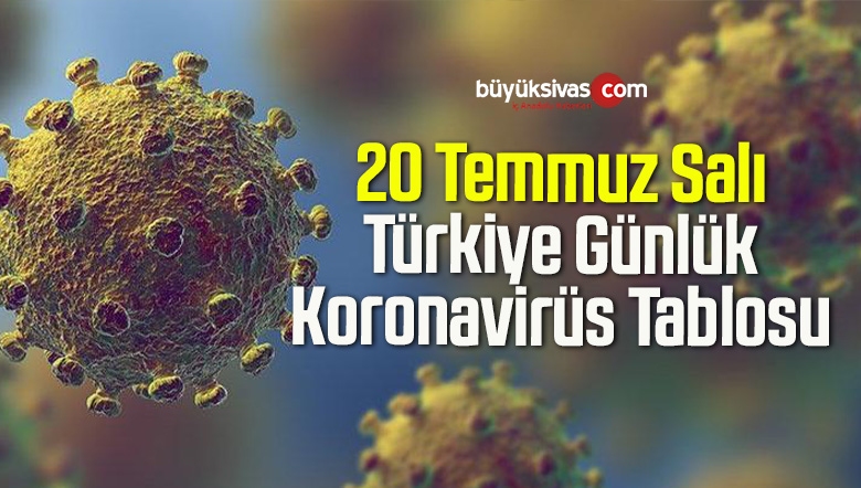 20 Temmuz Salı Türkiye Günlük Koronavirüs Tablosu