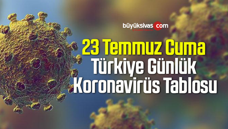 23 Temmuz Cuma Türkiye Günlük Koronavirüs Tablosu