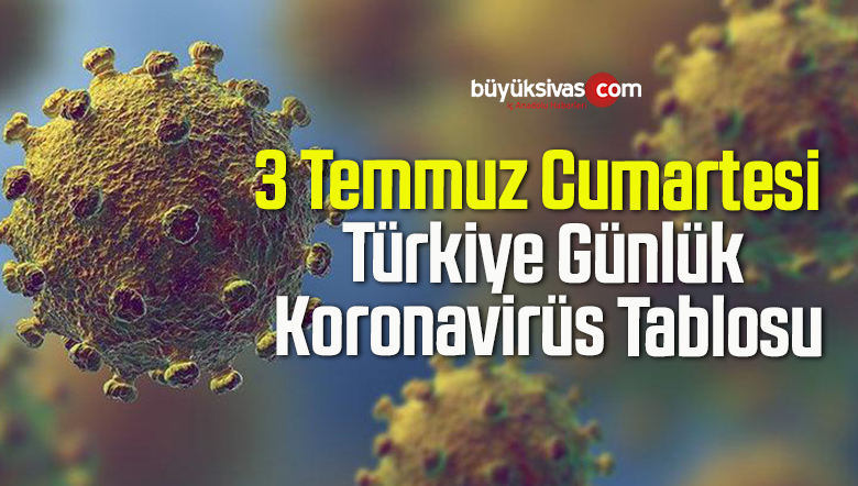3 Temmuz Cumartesi Türkiye Günlük Koronavirüs Tablosu