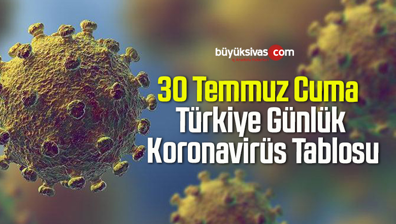 30 Temmuz Cuma Türkiye Günlük Koronavirüs Tablosu