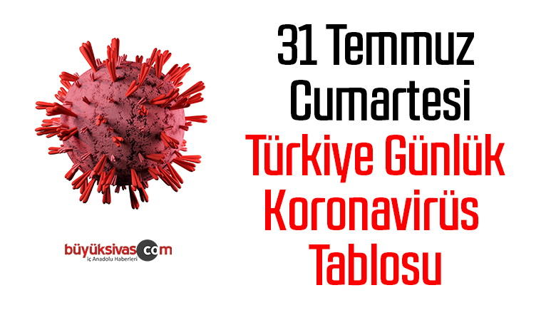 31 Temmuz Cumartesi Türkiye Günlük Koronavirüs Tablosu