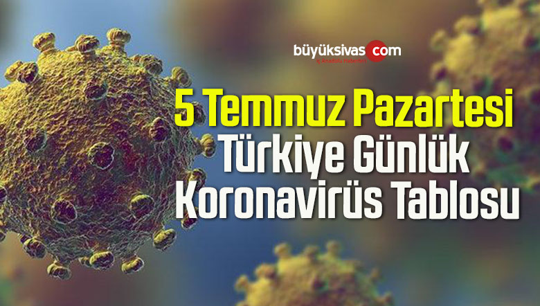 5 Temmuz Pazartesi Türkiye Günlük Koronavirüs Tablosu