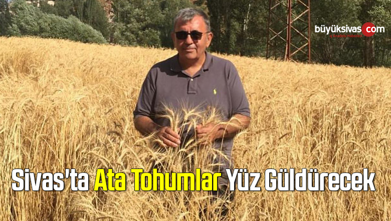 Sivas’ta Ata Tohumlar Yüz Güldürecek