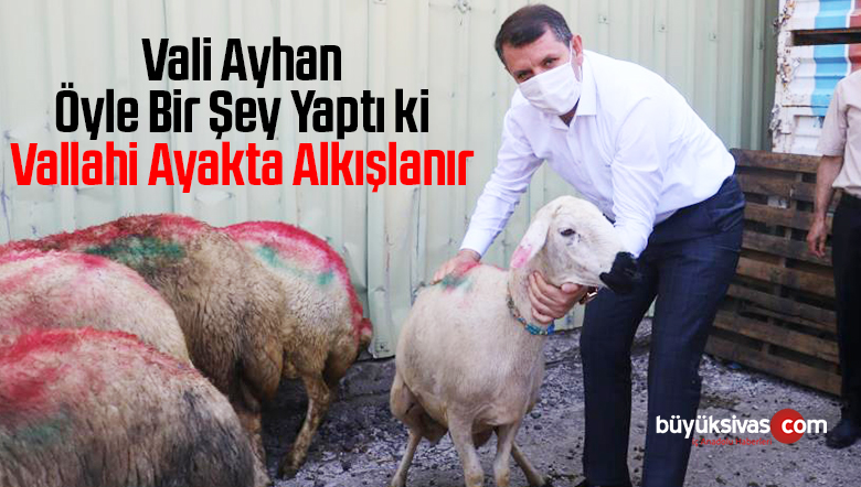 Sivas Valiliğinden örnek çalışma, ihtiyaç sahibi ailelere kurbanlık