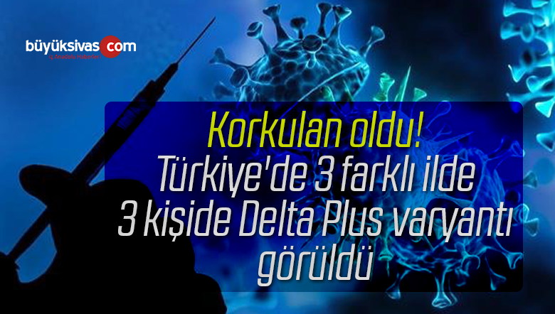 delta plus varyantı