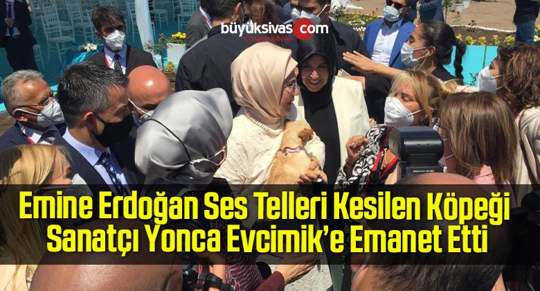 Emine Erdoğan Ses Telleri Kesilen Köpeği Sanatçı Yonca Evcimik’e Emanet Etti