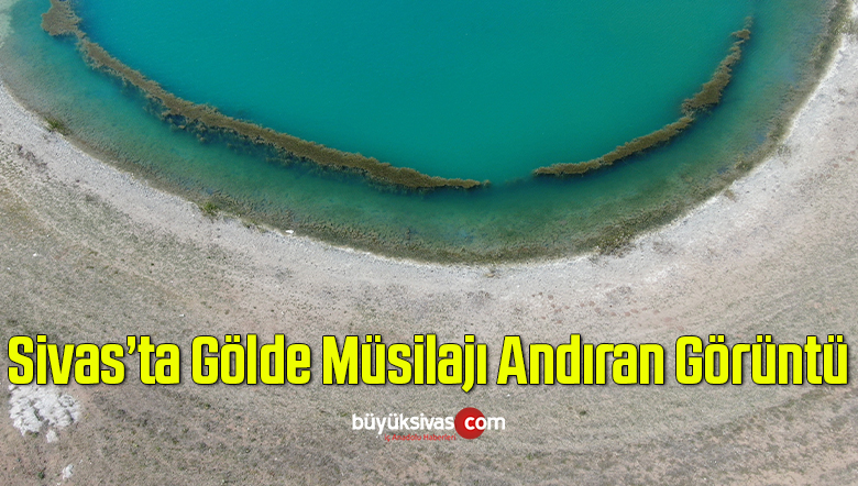 Sivas’ta bulunan Ağ gölde oluşan müsilajı andıran görüntüler dikkat çekti