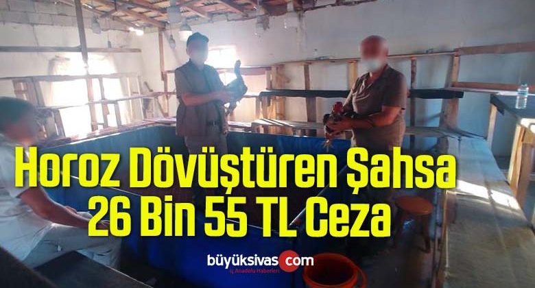 Horoz Dövüştüren Şahsa 26 Bin 55 TL Ceza