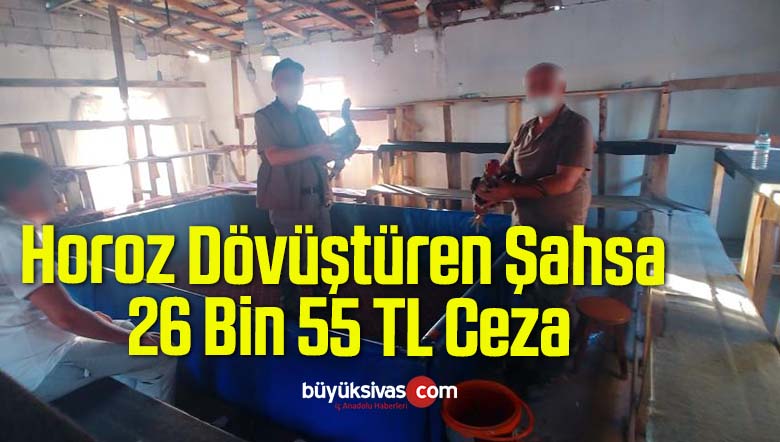 Horoz Dövüştüren Şahsa 26 Bin 55 TL Ceza