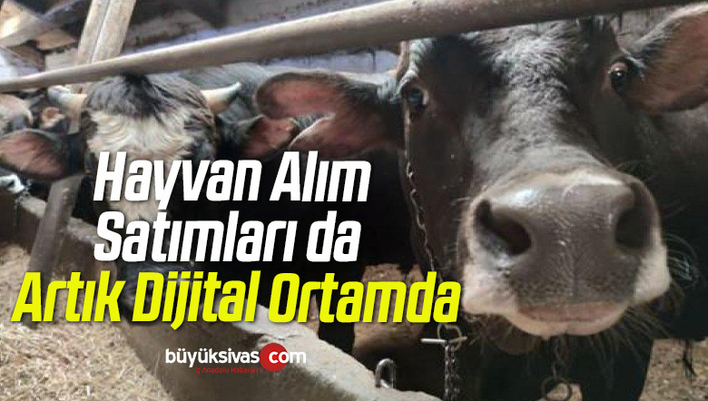 il içi hayvan