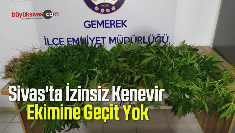 izinsiz