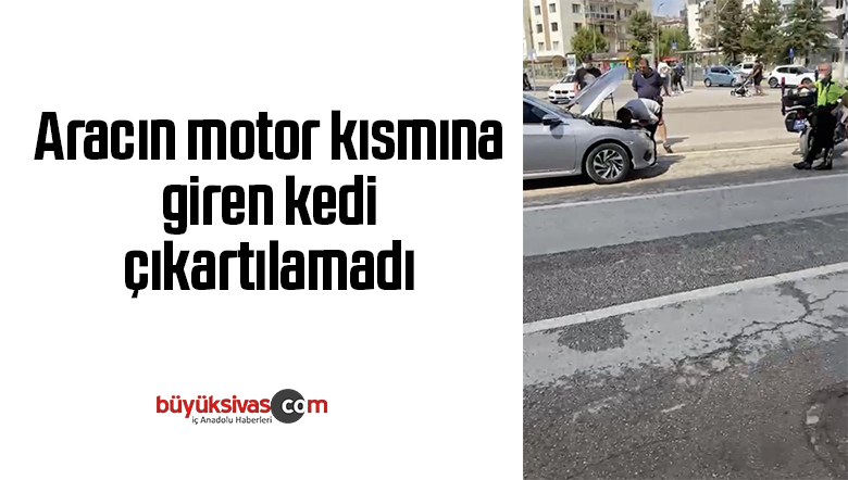 Aracın motor kısmına giren kedi çıkartılamadı