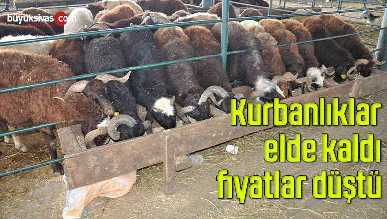 kurban