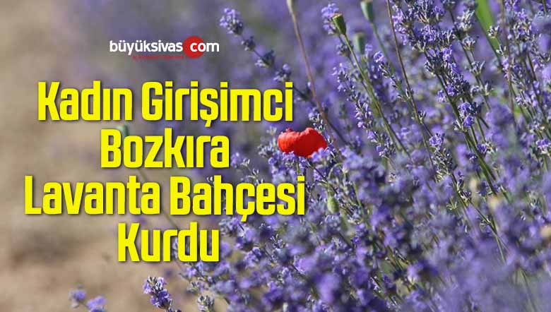 Kadın Girişimci Bozkıra Lavanta Bahçesi Kurdu