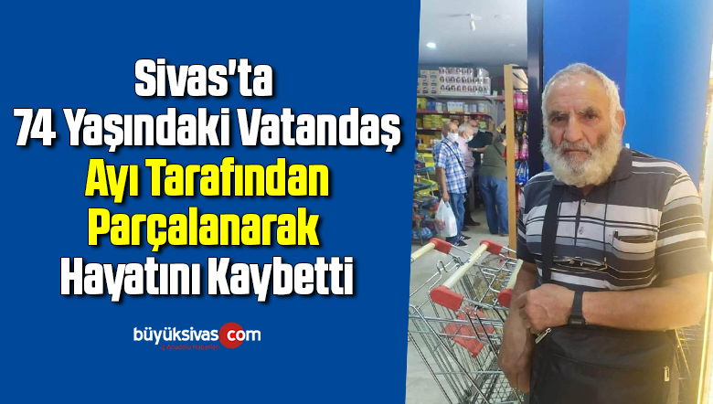 Sivas’ta 74 Yaşındaki Vatandaş Ayı Tarafından Parçalanarak Hayatını Kaybetti