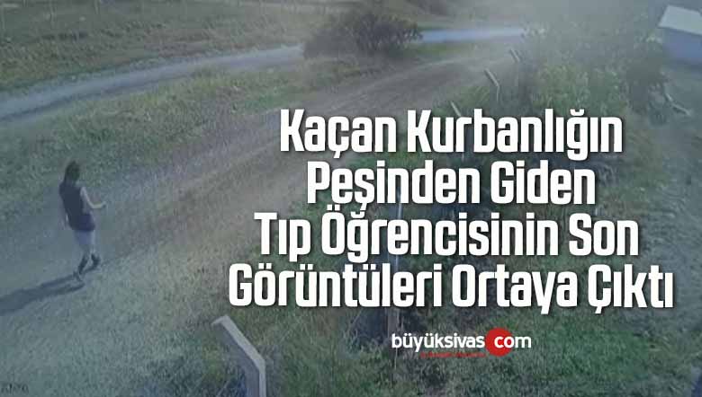 Kaçan Kurbanlığın Peşinden Giden Tıp Öğrencisinin Son Görüntüleri Ortaya Çıktı