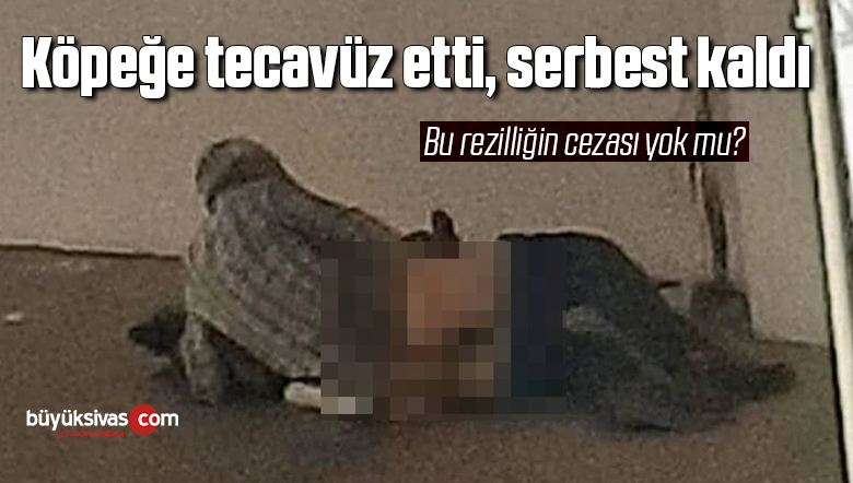 Köpeğe tecavüz etti, serbest kaldı