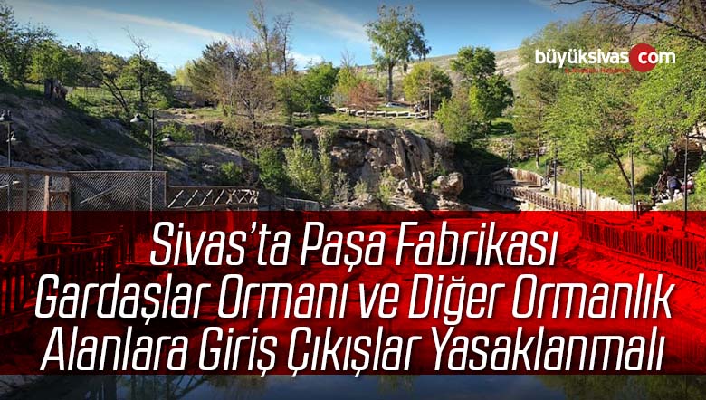 Bir çok şehirde ormanlık alanlara giriş çıkışlar yasaklandı! Sivas’ta yasaklansın