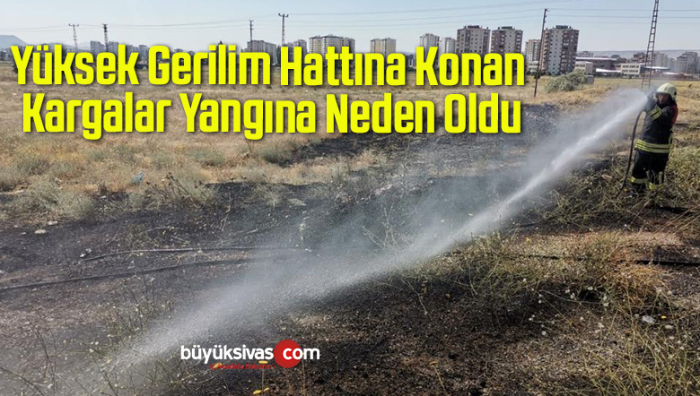 Yüksek Gerilim Hattına Konan Kargalar Yangına Neden Oldu