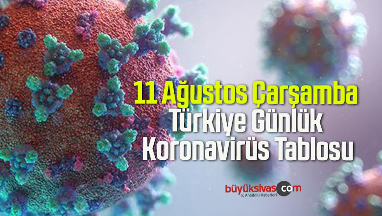 11 Ağustos Çarşamba Türkiye Günlük Koronavirüs Tablosu