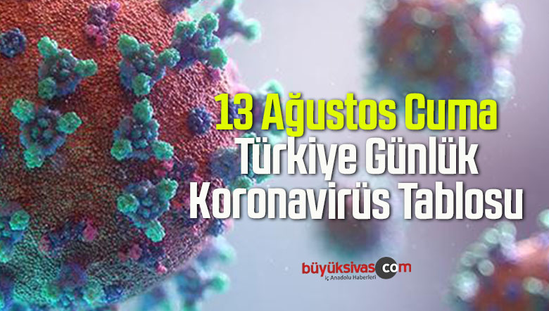 13 Ağustos Cuma Türkiye Günlük Koronavirüs Tablosu