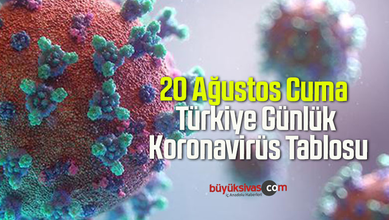 20 Ağustos Cuma Türkiye Günlük Koronavirüs Tablosu