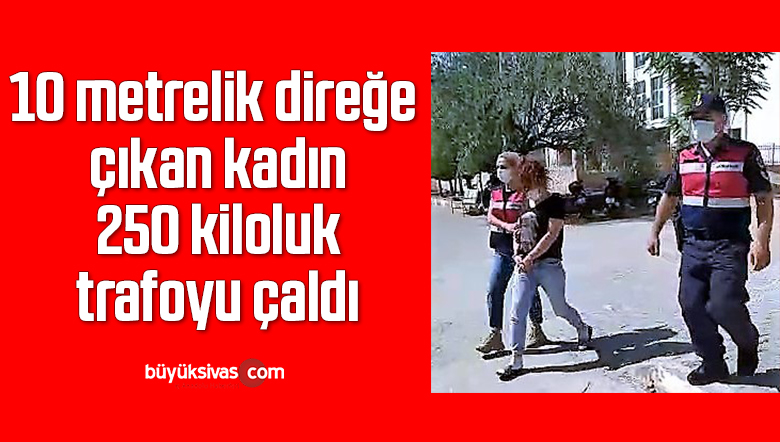 10 metrelik direğe çıkan kadın 250 kiloluk trafoyu çaldı