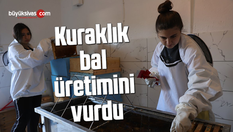 Kuraklık bal üretimini vurdu