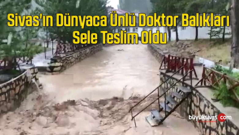 Sivas’ın Dünyaca Ünlü Doktor Balıkları Sele Teslim Oldu