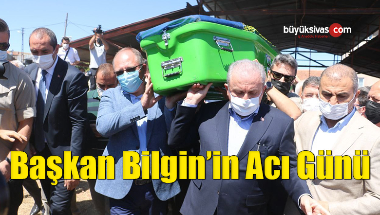 bilgin