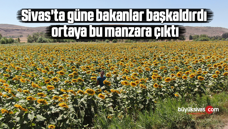 Sivas’ta güne bakanlar başkaldırdı, ortaya bu manzara çıktı