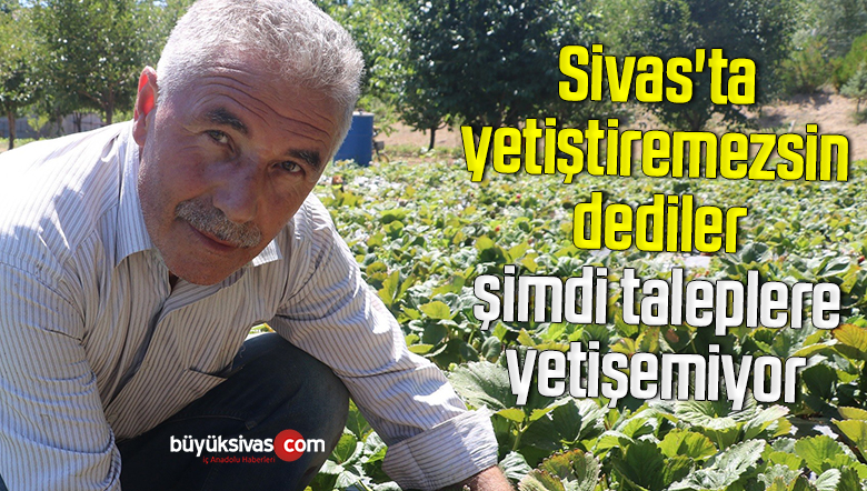 Sivas’ta yetiştiremezsin dediler, şimdi taleplere yetişemiyor