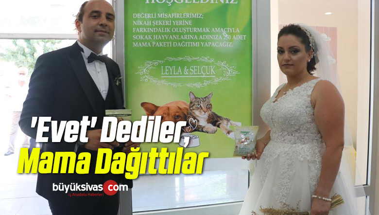 ‘Evet’ Dediler, Mama Dağıttılar