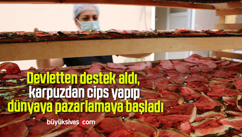 Devletten destek aldı, karpuzdan cips yapıp dünyaya pazarlamaya başladı