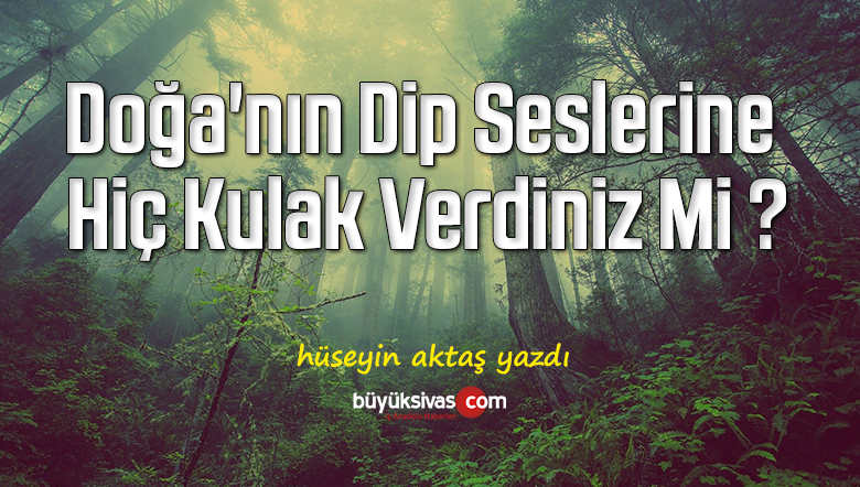 Doğa’nın Dip Seslerine Hiç Kulak Verdiniz Mi ?