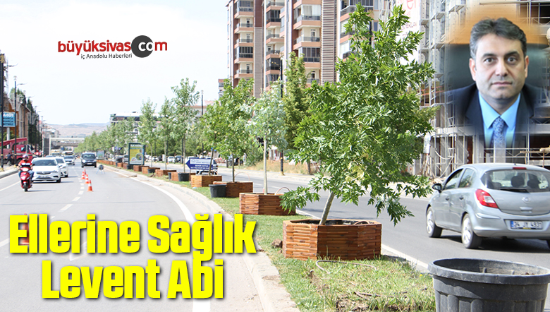 Belediye Bağdat Caddesinde ağaçlandırma çalışması başlattı