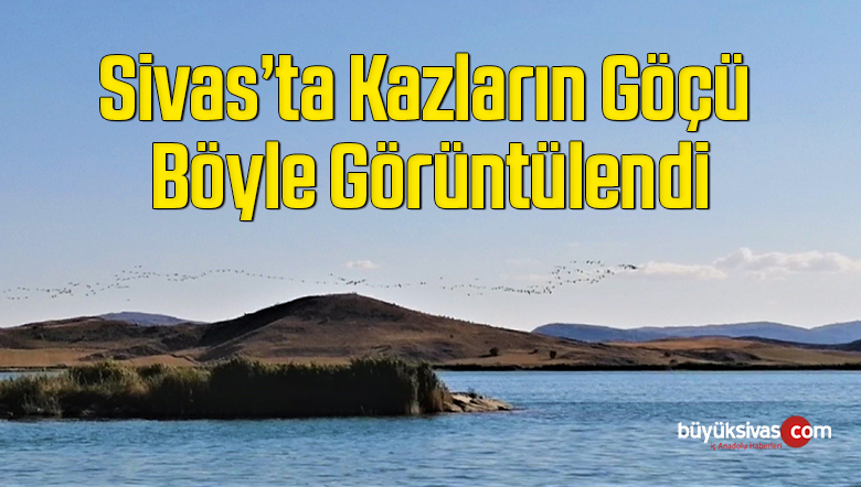 Kazların göçü böyle görüntülendi