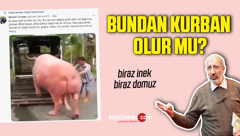 Abdurrahman Dilipak’ın ilginç paylaşımı: Bunlar koyun mu?