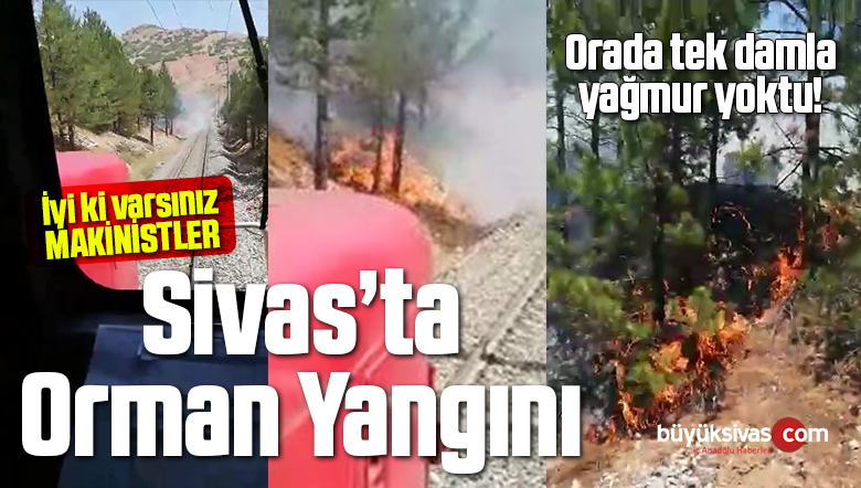 orman yangını