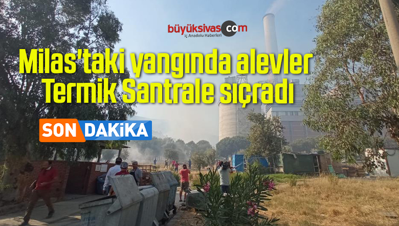 Milas’taki yangında alevler Termik Santrale sıçradı