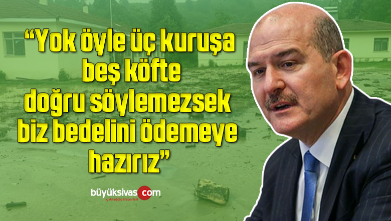 soylu