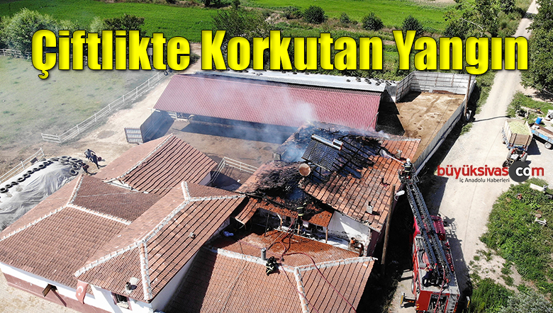 Çiftlikte korkutan yangın