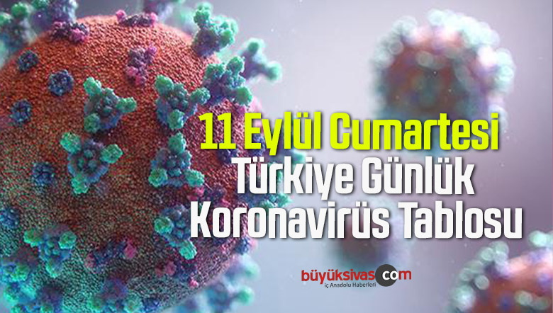 11 Eylül Cumartesi Türkiye Günlük Koronavirüs Tablosu