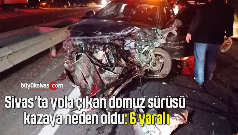 Yola çıkan domuz sürüsü kazaya neden oldu: 6 yaralı