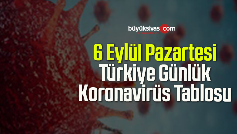 6 Eylül Pazartesi Türkiye Günlük Koronavirüs Tablosu