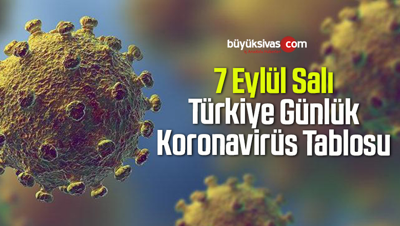 7 Eylül Salı Türkiye Günlük Koronavirüs Tablosu